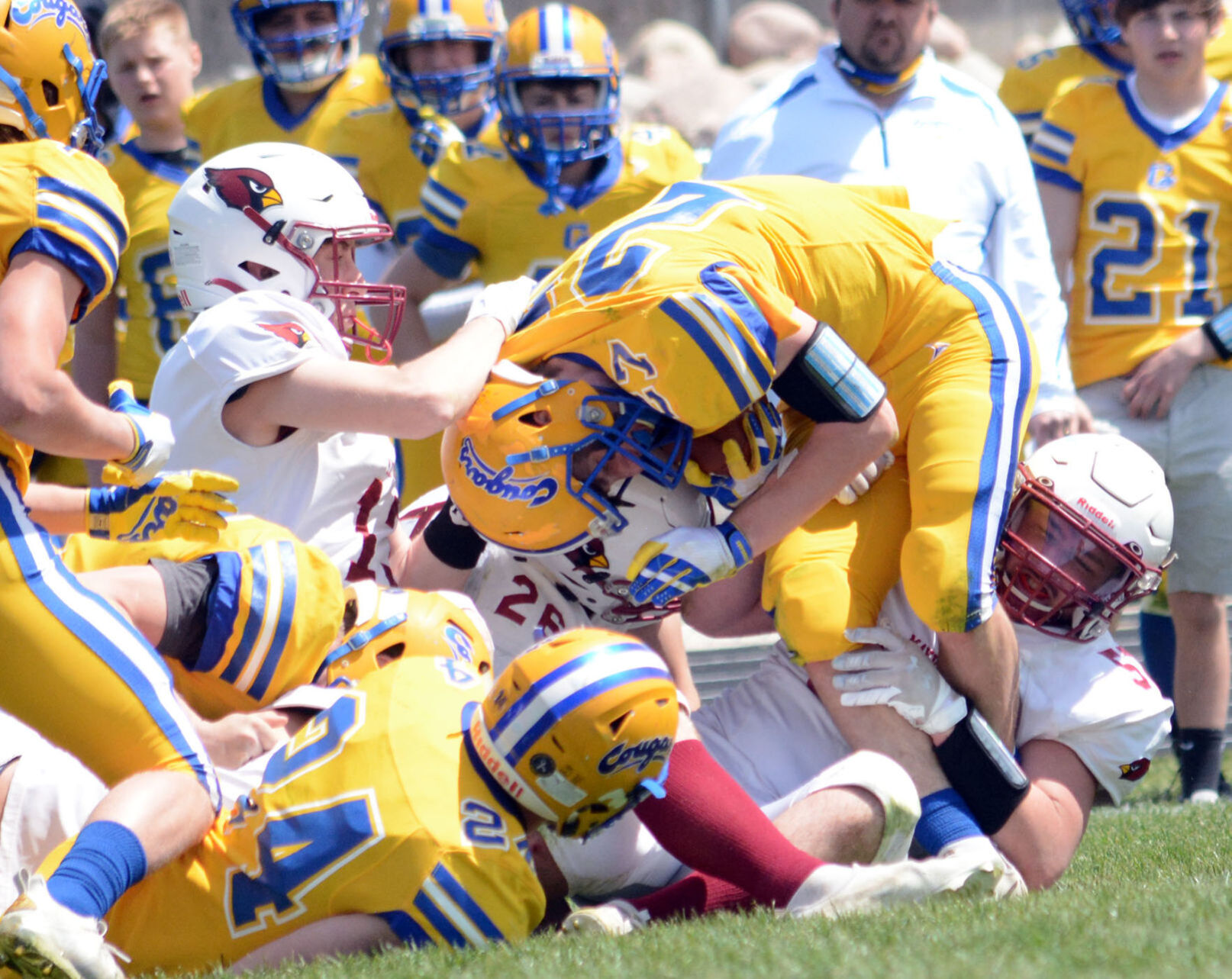 Mayville Cardinals tackle 3.jpg